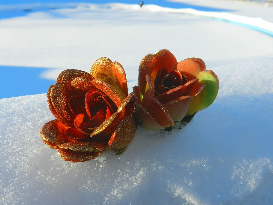 paper, background, scrapbooking, flowers, snow, winter, christmas HD wallpaper