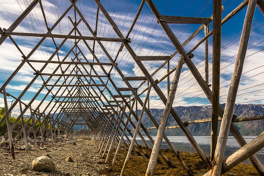 drying fish, racks for drying fish, structures, lines, day