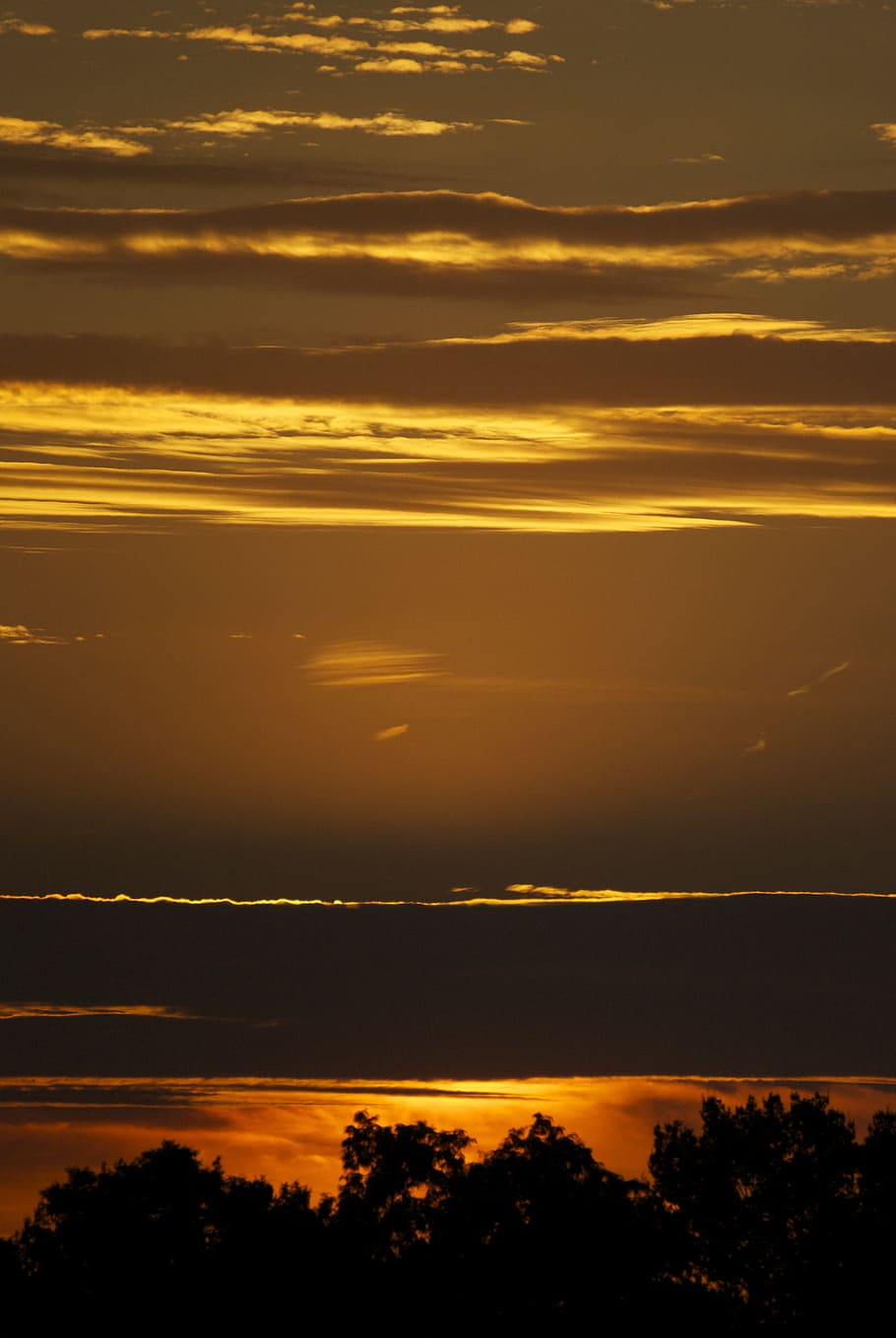 sunset, back light, mood, silhouette, abendstimmung, evening sky HD wallpaper