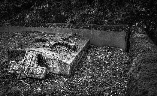 Graveyard, Graves, Tree, Spooky, Night, tombstones, cemetery HD wallpaper