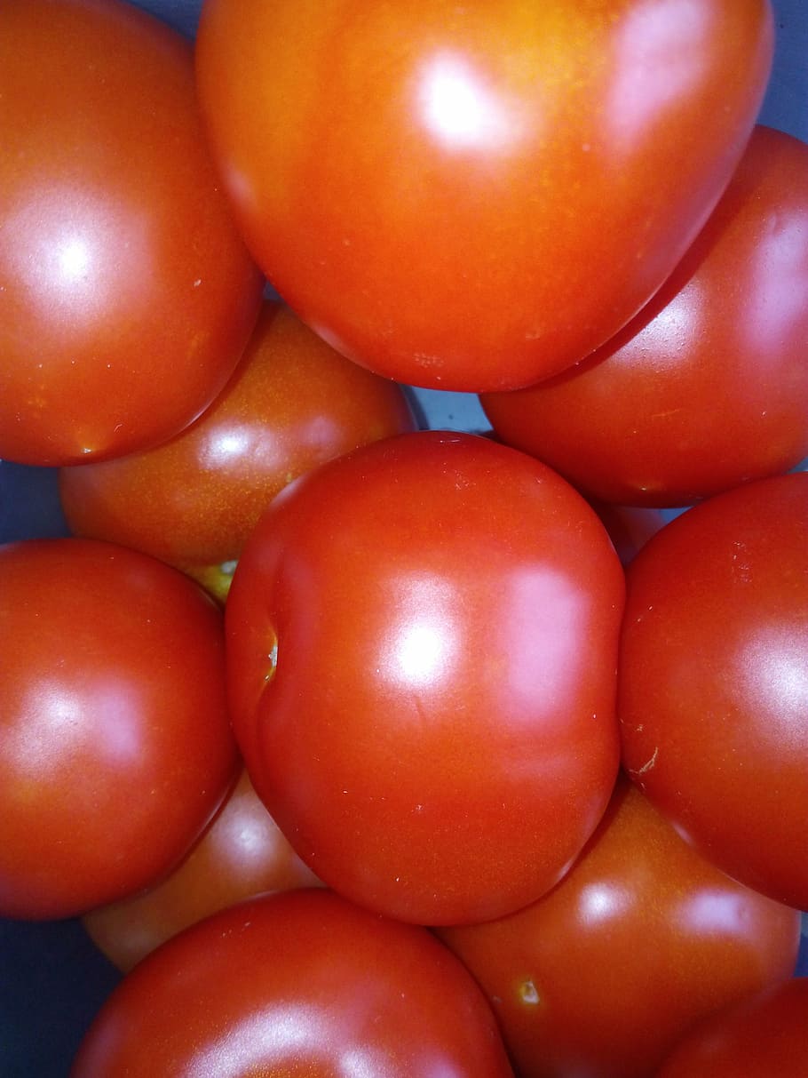tomatoes, vegetables, food and drink, healthy eating, wellbeing HD wallpaper