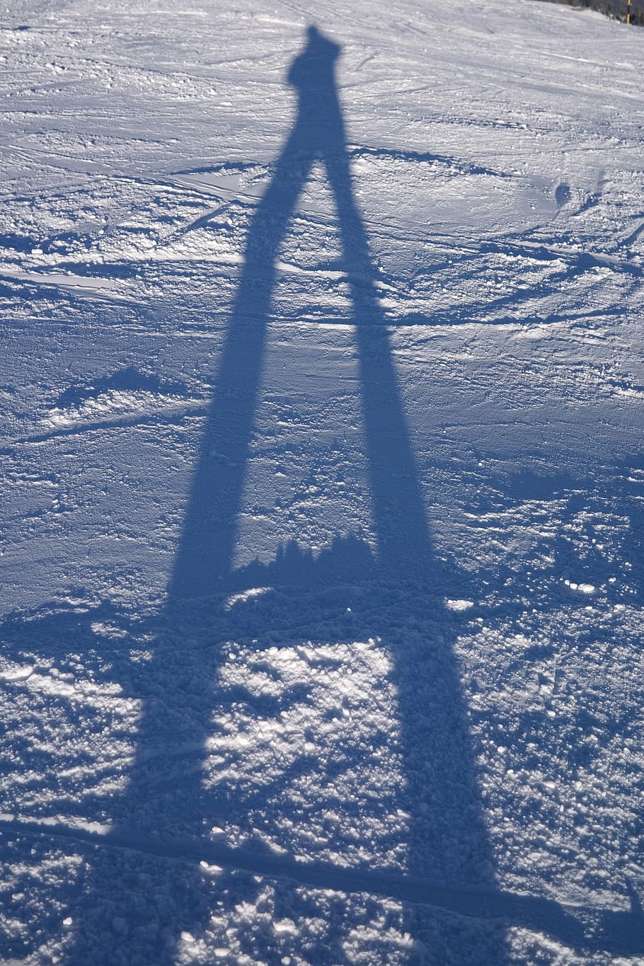 shadow, hispanic, shadow play, human, person, legs, long, photo HD wallpaper
