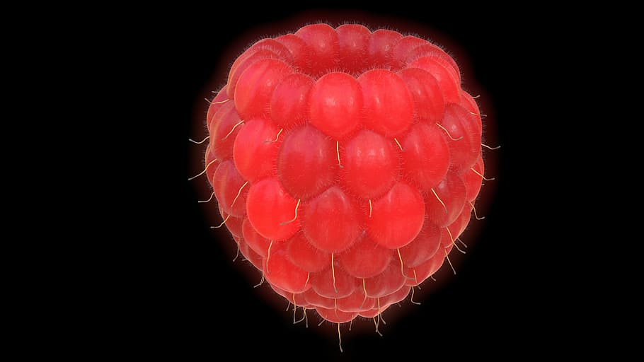 red berry fruit, raspberry, large, 3d, blender, black background HD wallpaper