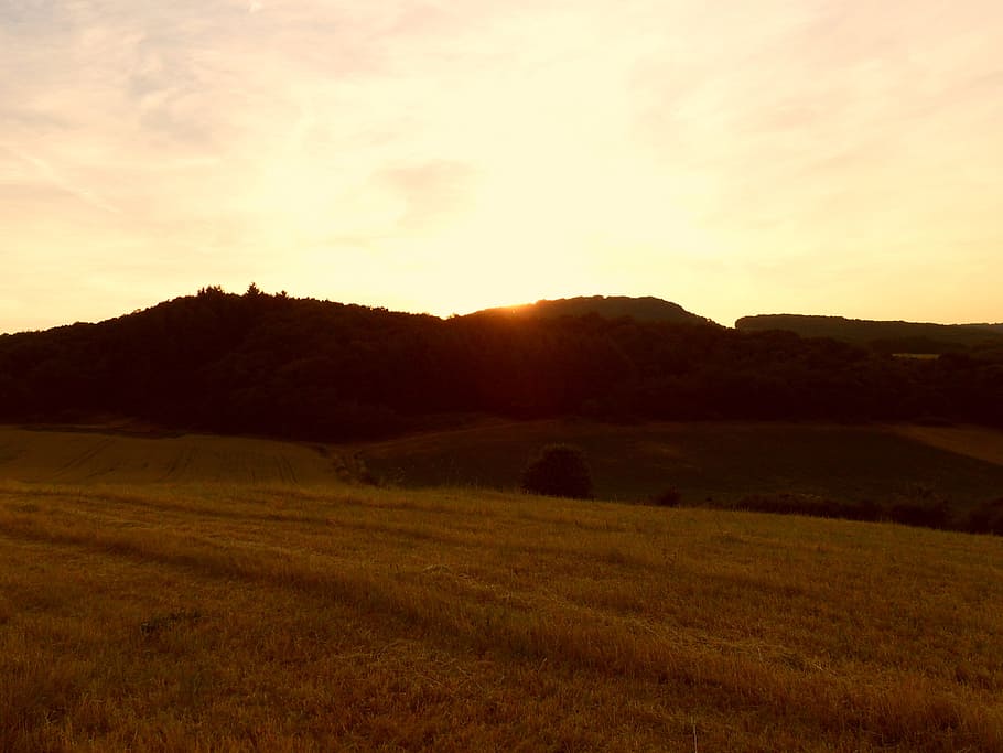 Sunset, Forest, Field, Evening, Sky, evening sky, abendstimmung HD wallpaper