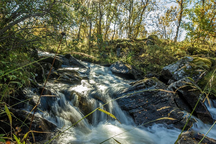 Forest, Waterfall, Norway, mountainsides, streams, forest floor HD wallpaper