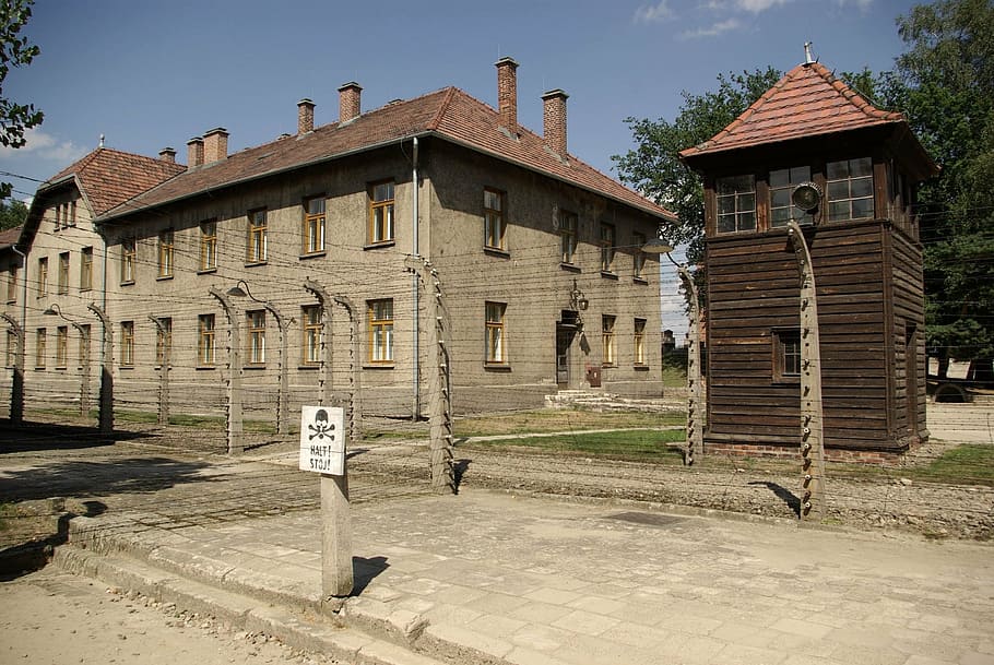 auschwitz-birkenau, concentration camp, nazism, crime, hitler, HD wallpaper
