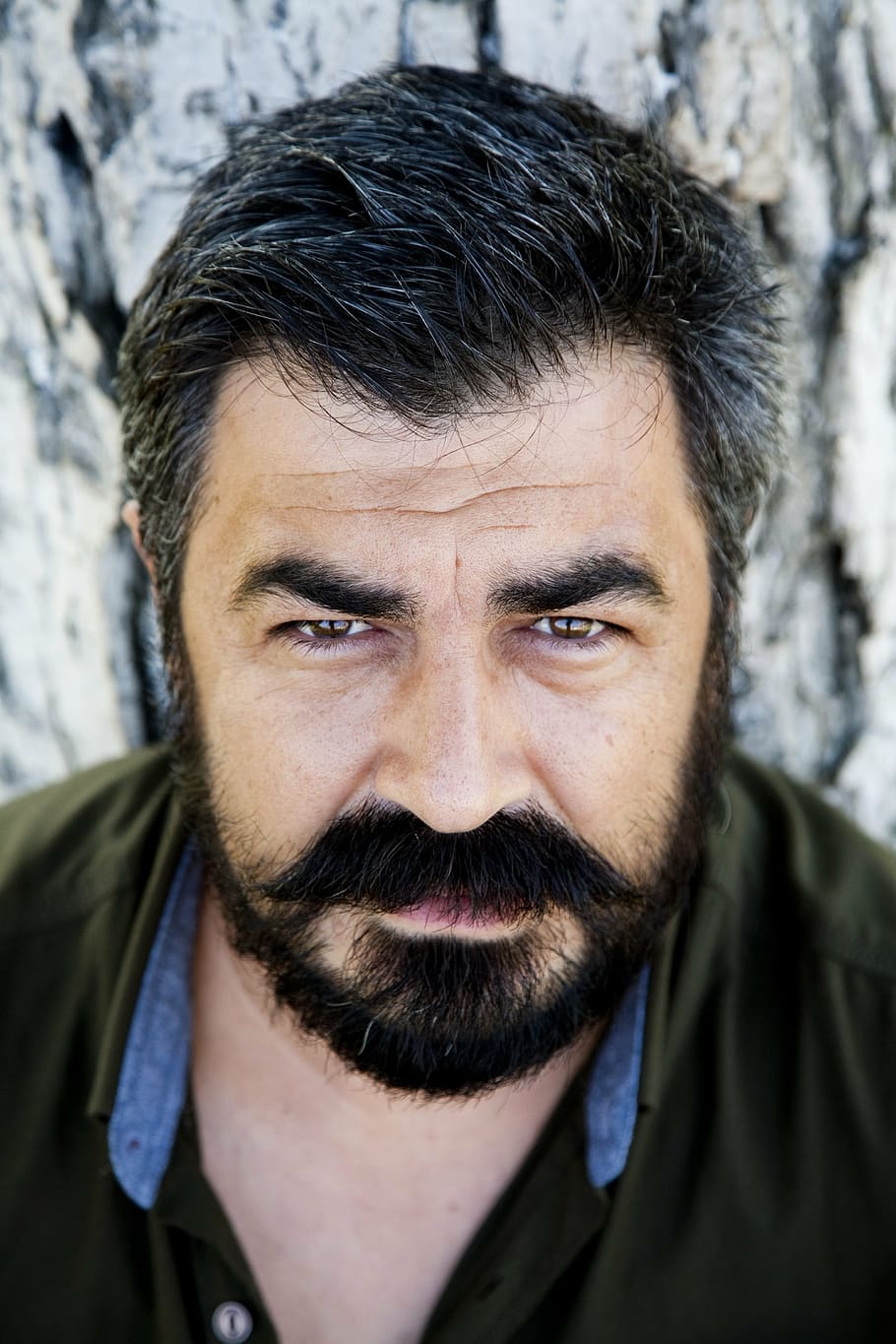 portrait, mustache, overview, eye, çaycuma, zonguldak, taaffe HD wallpaper