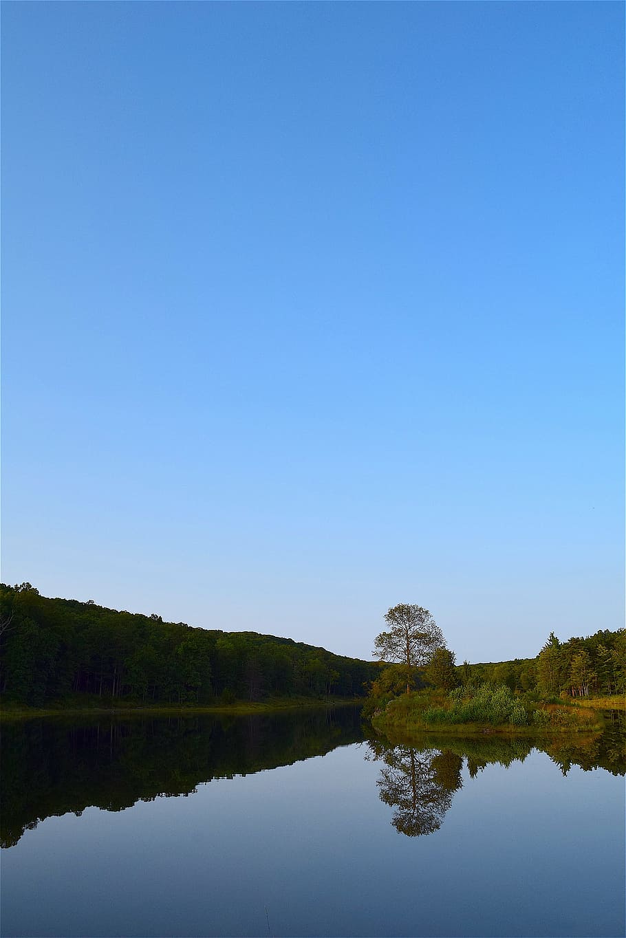 lake, reflection, park, trees, blue, water, nature, landscape HD wallpaper