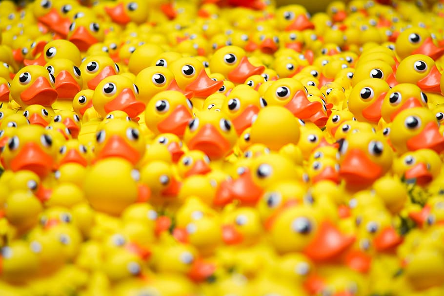 pile of rubber duckies, yellow rubber ducklings, yellow duck