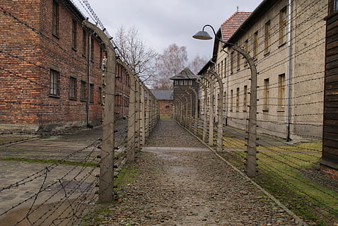 auschwitz, concentration camp, second world war, auschwitz-birkenau HD wallpaper