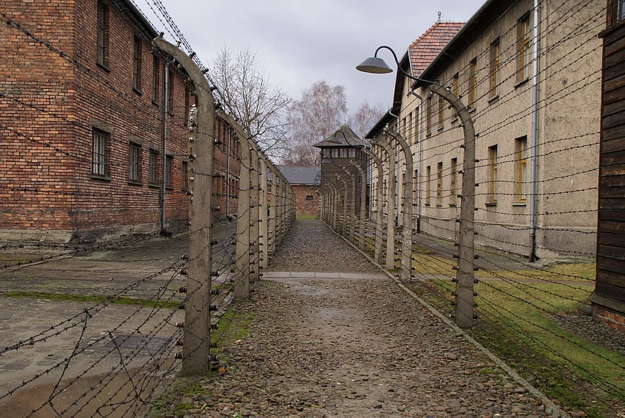auschwitz, concentration camp, second world war, auschwitz-birkenau HD wallpaper