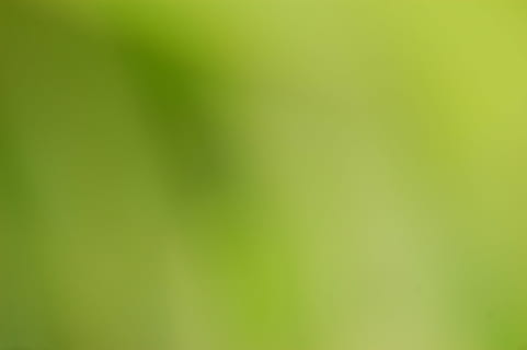 green, blur, background, blurred, color, colour, nature, backgrop HD wallpaper
