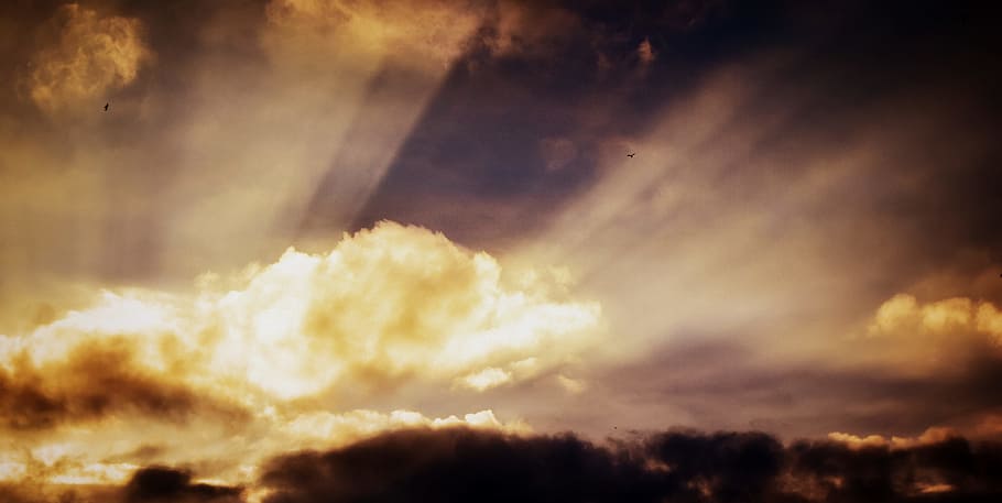 sunrise photo, sun light piercing through brown clouds, white clouds HD wallpaper