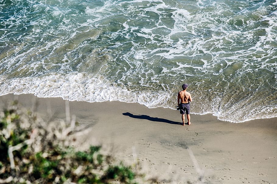 beach, looking, man, nature, ocean, sea, seaside, summer, water HD wallpaper