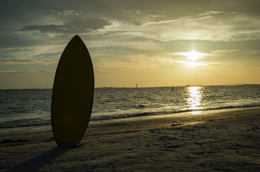 HD wallpaper: florida, sunset, skimboard, silhouette, beach, ocean, gulf.