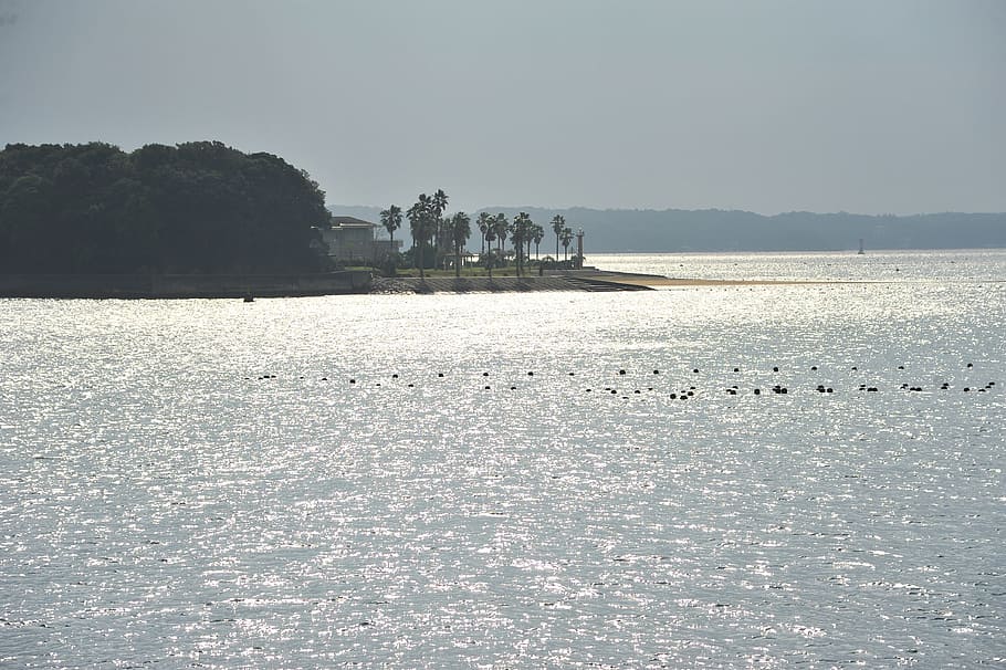 sea, sky, light, ise-shima, island, water, bird, vertebrate HD wallpaper