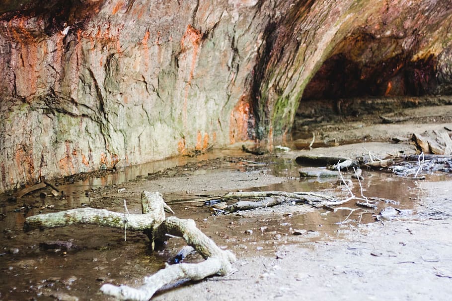 nature, rocks, river, cave, wood, no people, water, day, solid HD wallpaper