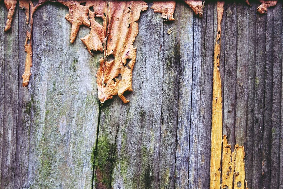 wood, flake, weathered, old, wall, structure, background, used HD wallpaper