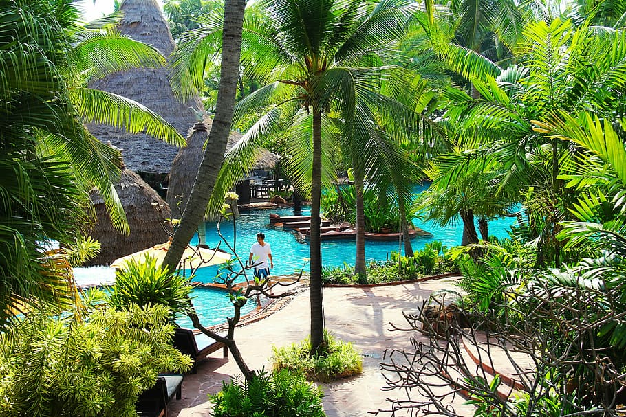 resort, hotel, beach, swimming, pool, tree, green, blue, tourists, HD wallpaper