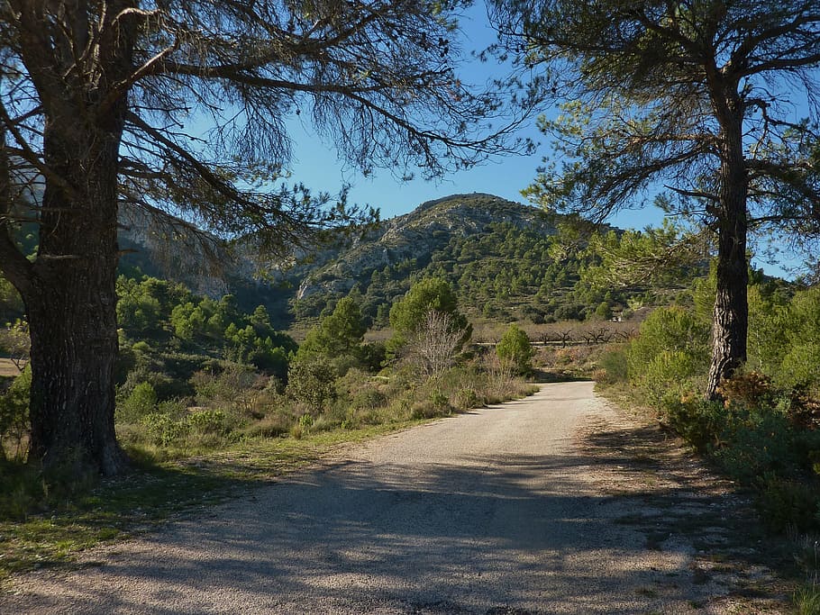 road, track, spain, trees, travel, mountain, rural, landscape HD wallpaper