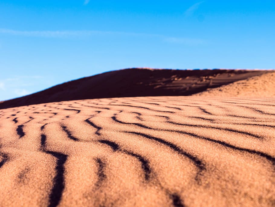 aerial photography of dessert at daytime, sand field under clear blue sky HD wallpaper
