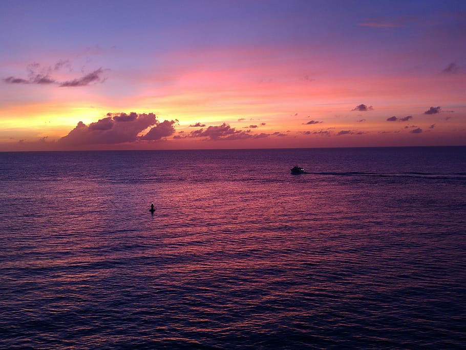 Sunset, Horizon, Freedom, Travel, sky, vacation, ocean, dusk HD wallpaper