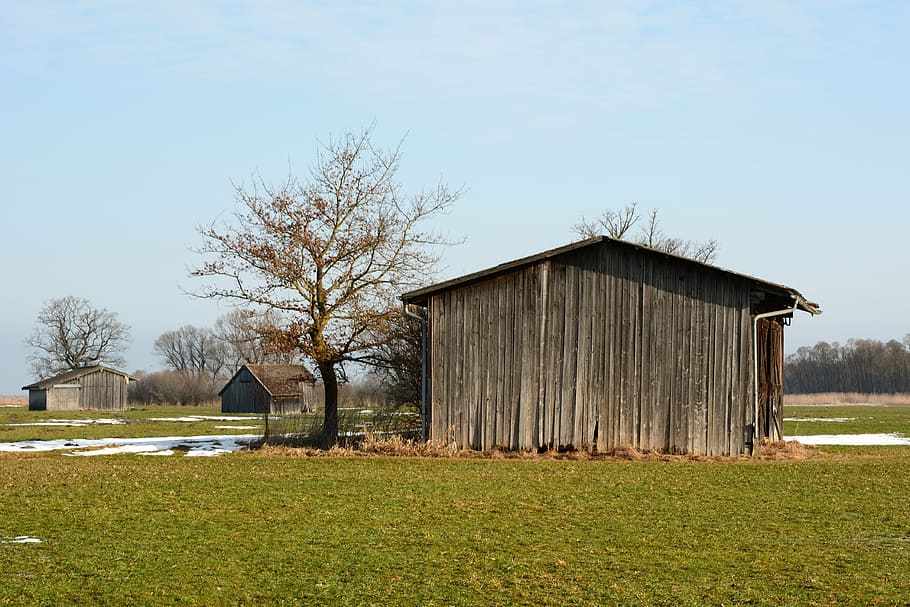 meadow, pasture, scale, barn, nature, wintry, winter, landscape HD wallpaper