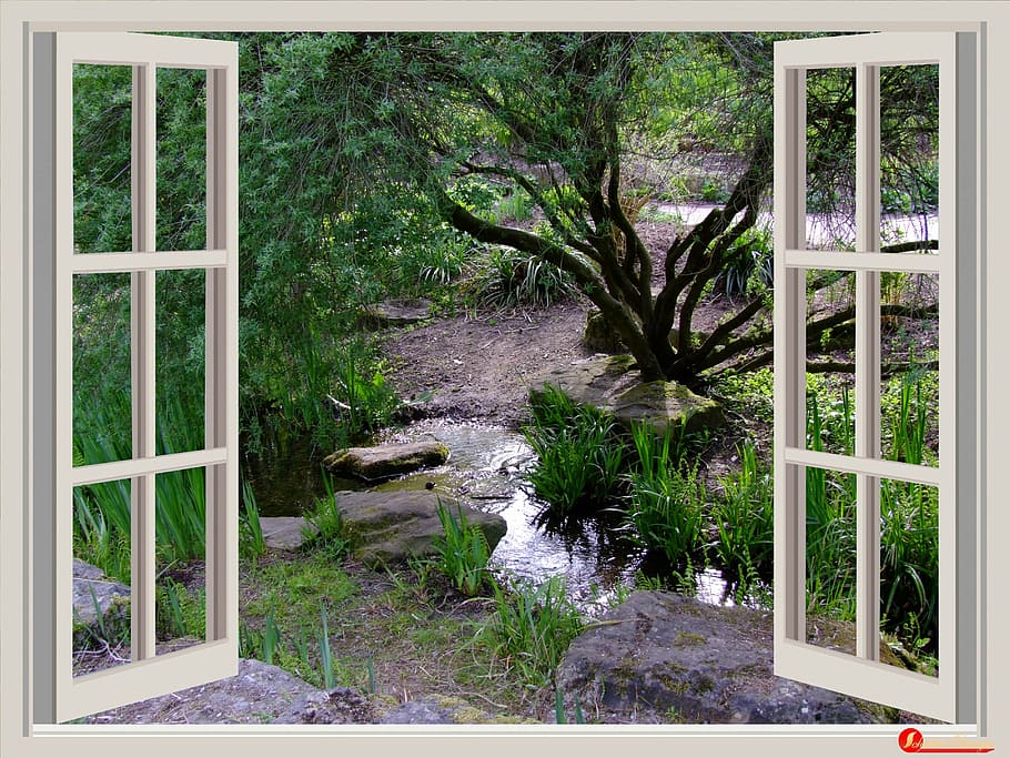 white wooden window, garden, window frames, outlook, bach, small stream