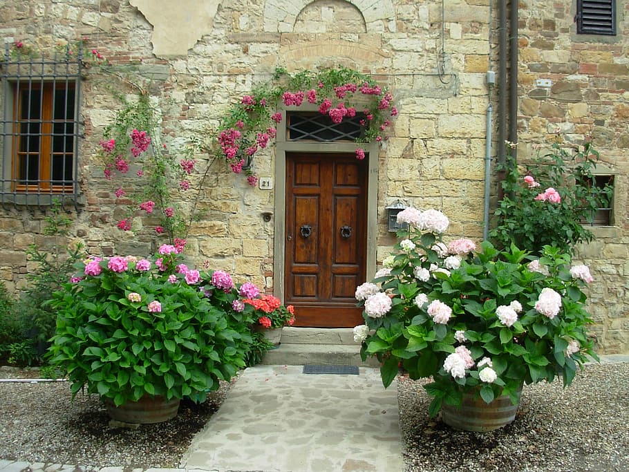 pink and white flowers beside gray concrete brick house, door