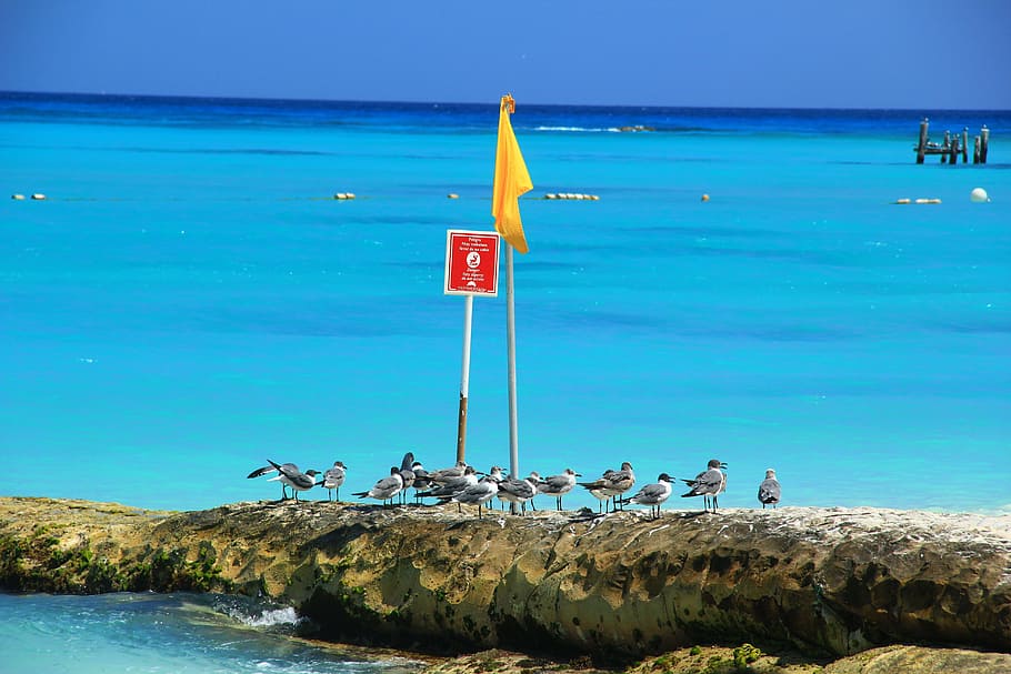 beach, blue, flag, sea, nature, costa, landscape, island, port HD wallpaper