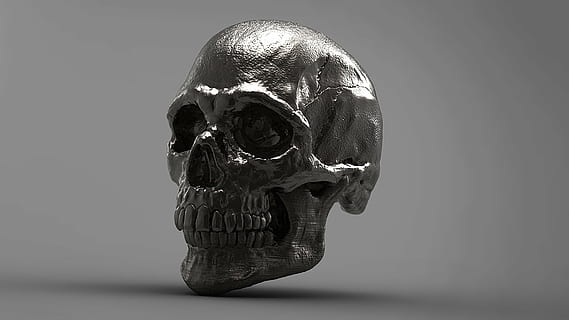 silver skull figurine, 3d, skeleton, studio shot, single object HD wallpaper