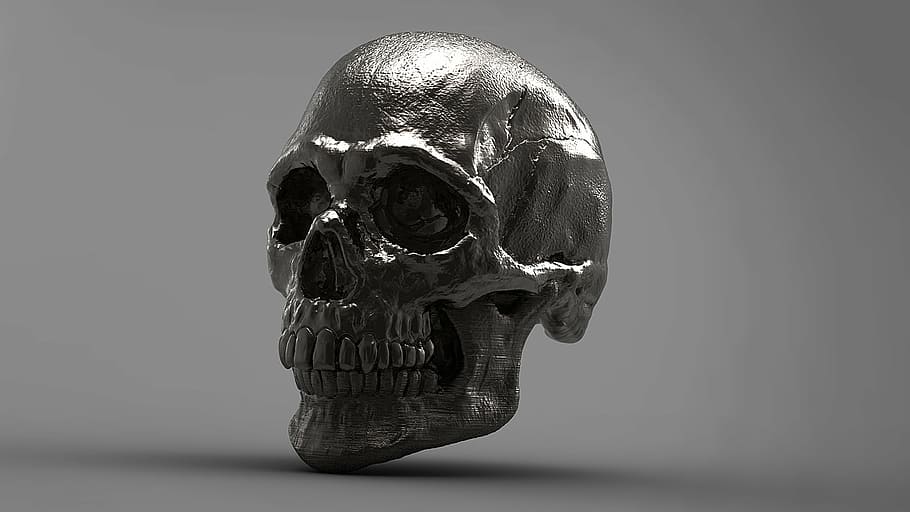 silver skull figurine, 3d, skeleton, studio shot, single object HD wallpaper