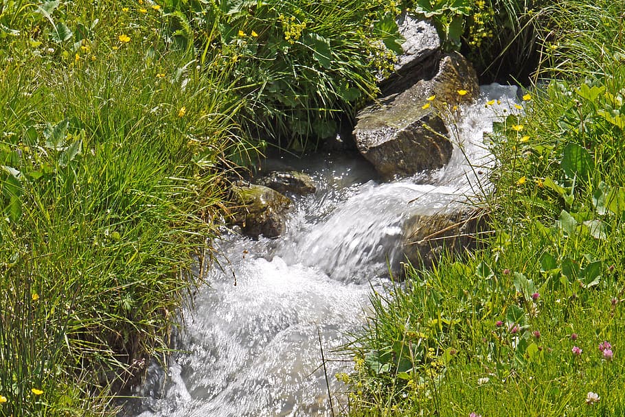mountain source, meadow, alm, stones, rock, torrent, glacier water HD wallpaper