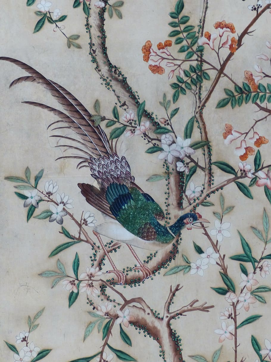 peacock on branch, chinese wallpaper, schloss hellbrunn, castle