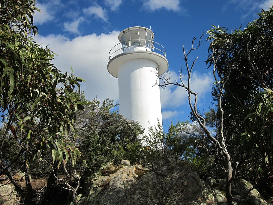 lighthouse, tasmania, cape, clouds, low angle view, sky, tree HD wallpaper