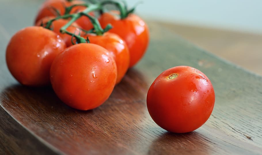 ripe tomatoes lot, red, fresh, vegetable, food, salad, healthy HD wallpaper