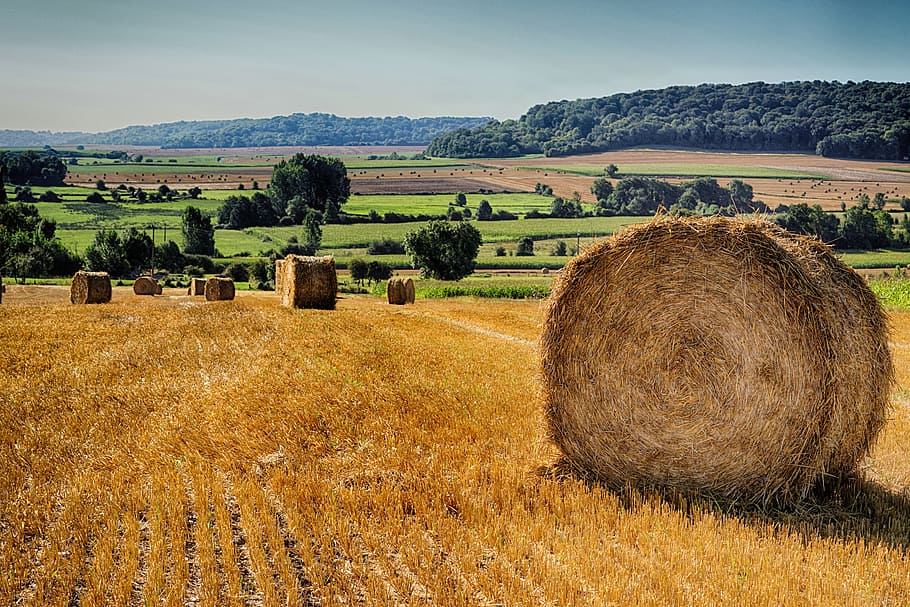 brown hays during daytime, straw, fields, agriculture, nature HD wallpaper