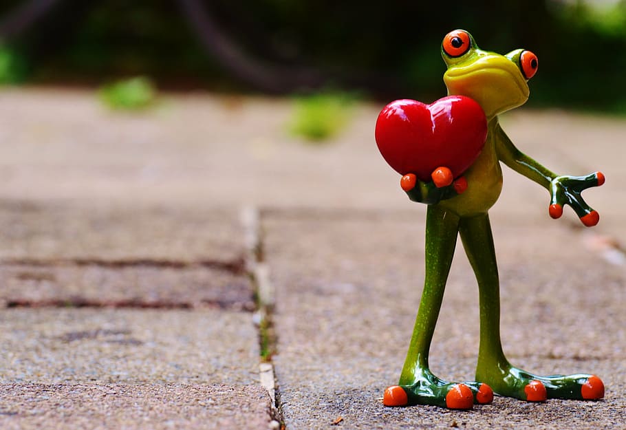 HD wallpaper: green frog holding red heart ceramic figurine, love, valentine\u0026#39;s day | Wallpaper Flare