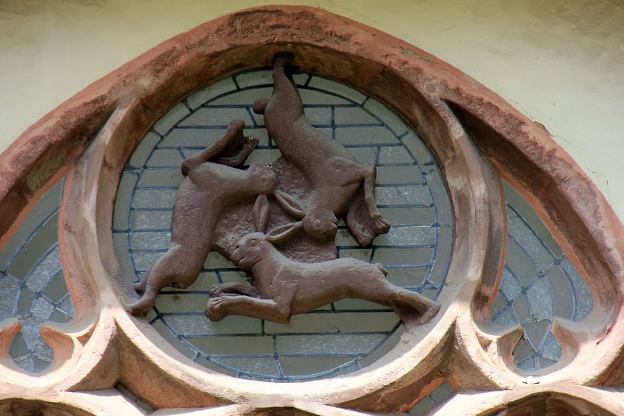 window, animal, hare, hare window, paderborn, art and craft HD wallpaper