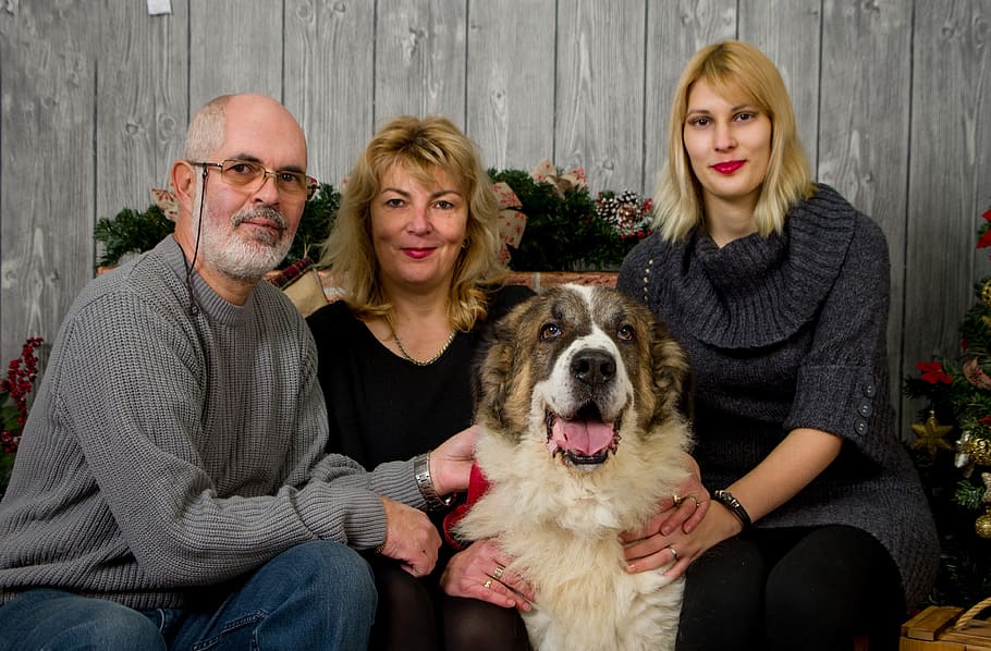 three persons holding dog sitting on couch, Family, Christmas