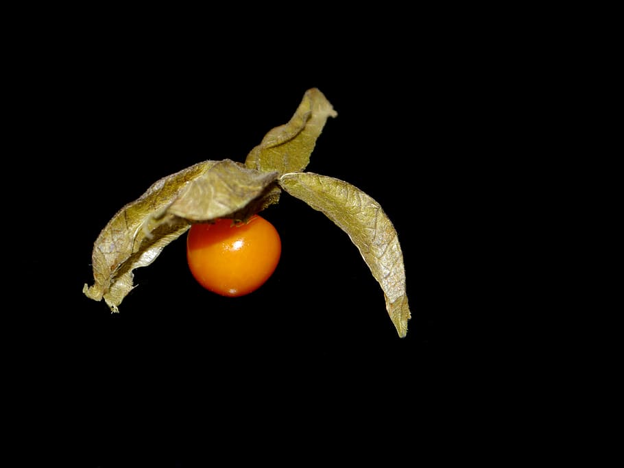physalis, vitamins, orange, fruit, exotic, healthy, food, black background HD wallpaper