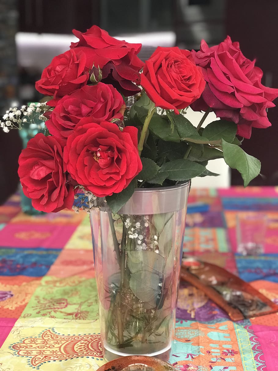 flower, rosa, vase, gift, flowering plant, rose, rose - flower HD wallpaper