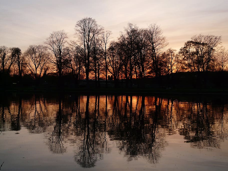 River, Trees, Water, abendstimmung, sunset, mirroring, romance HD wallpaper