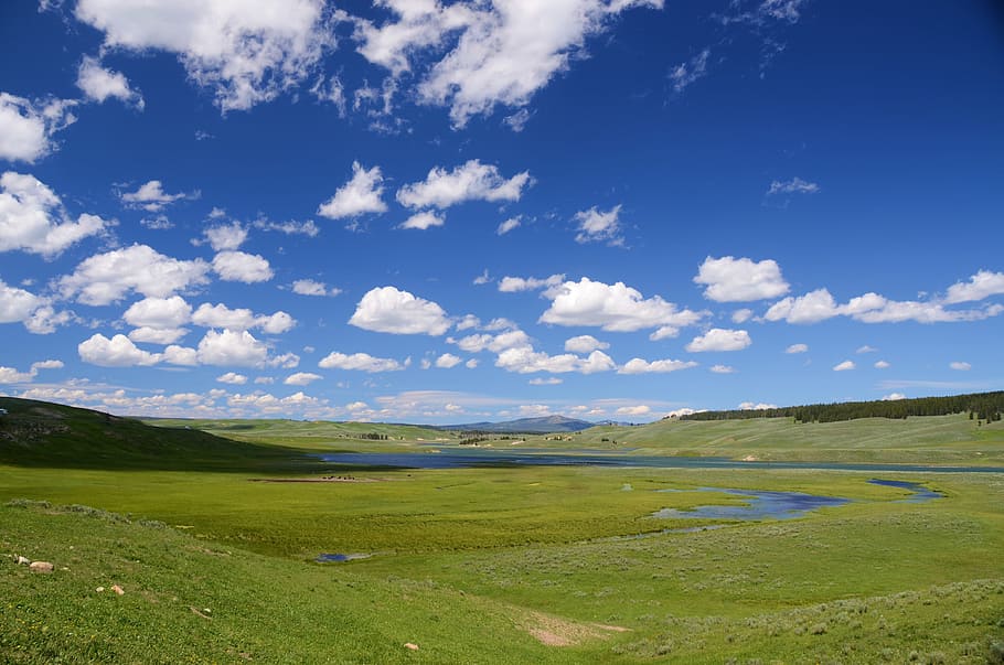 Green Fields Under Blue Cloudy Sky, clouds, grass, grassland HD wallpaper