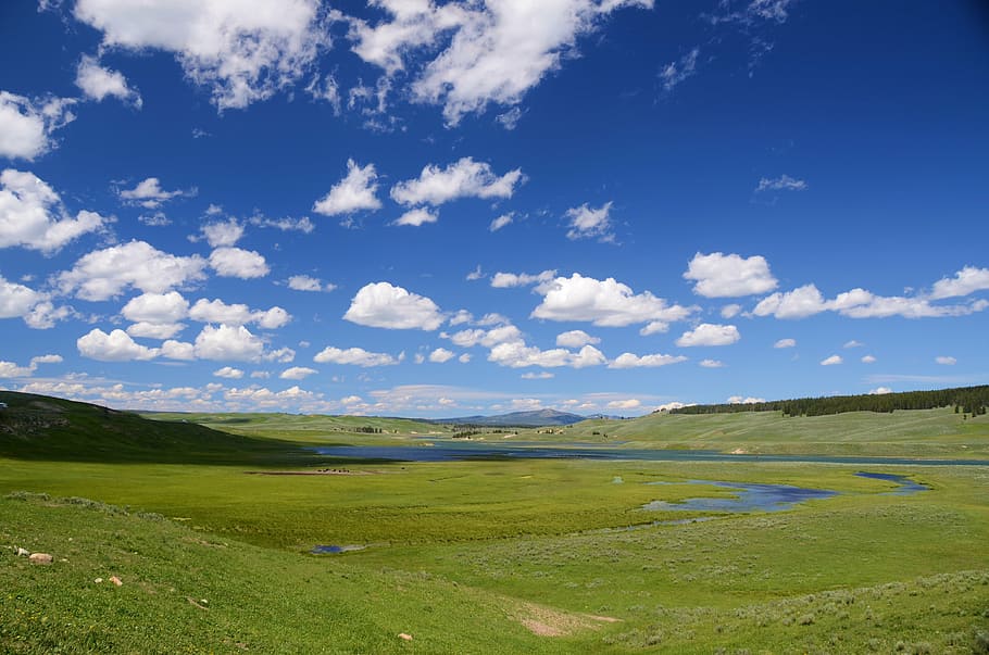 landscape photograph of green grass field, hayden valley, yellowstone, HD wallpaper
