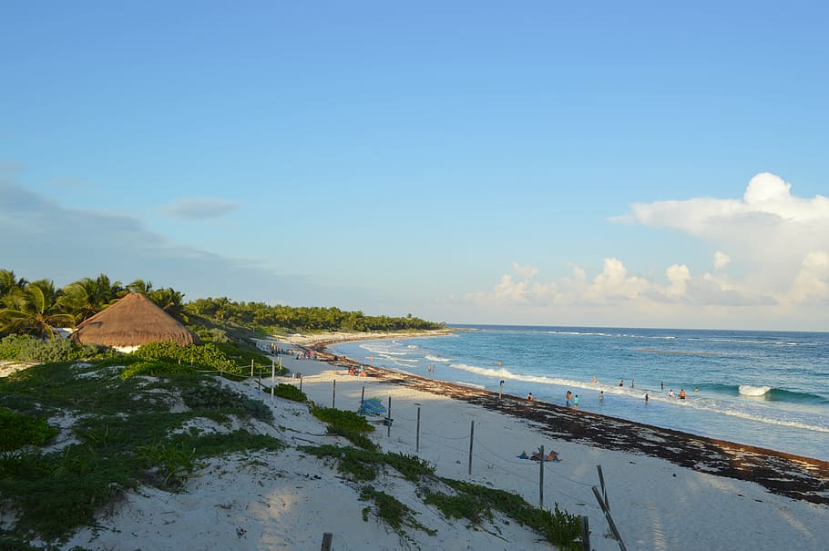 tulum, beach, sea, sand, costa, sky, trunk, dawn, palms, ocean HD wallpaper