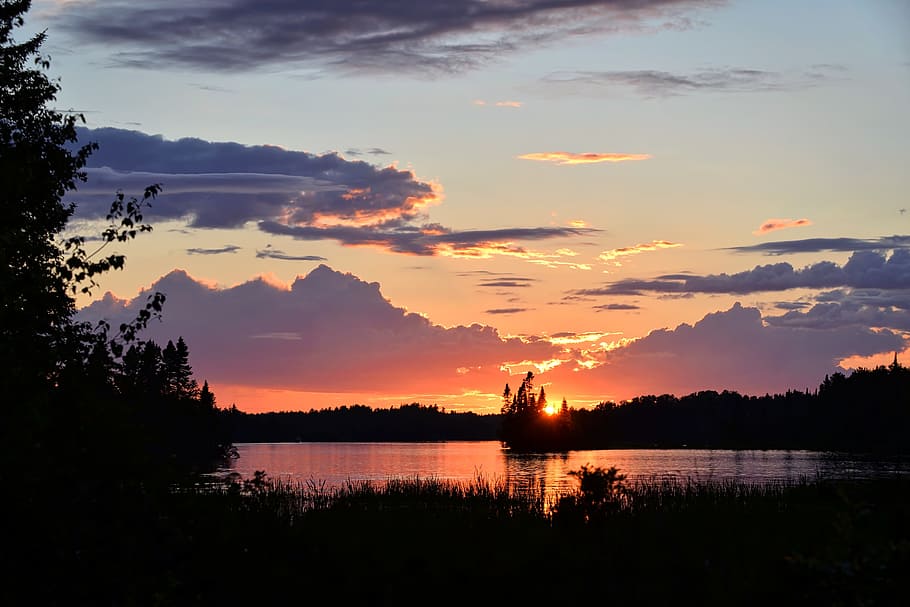 silhouette photo of tree during sunset, Twilight, Lake, sky HD wallpaper