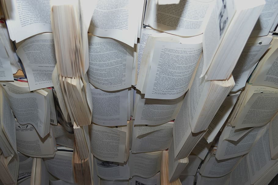 Books, Ceiling, Room, Interior, Decor, indoor, large group of objects HD wallpaper
