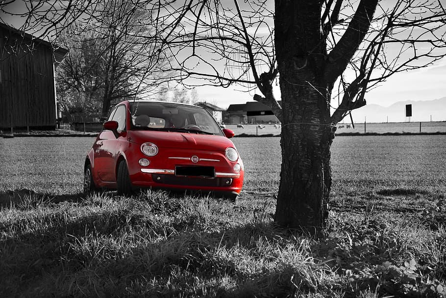 fiat 500, red, field, black and white, vehicle, oldtimer, nostalgia, HD wallpaper