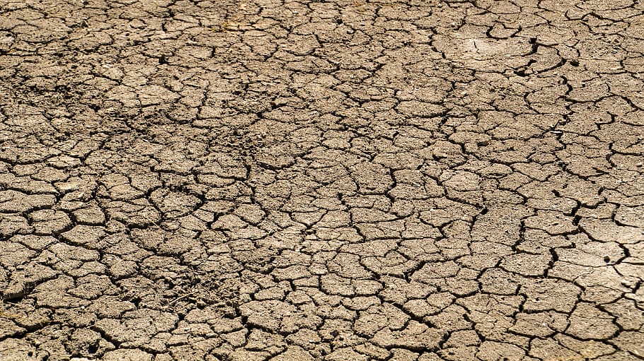 lack of rain, dry season, parched, drought, desert, dehydrated